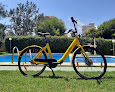 Alicante Rental Bikes
