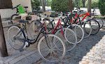 Alquiler De Karts, Y Cuatriciclos Parque Grande