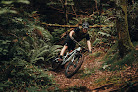 Negocio Basoa Bike Shop