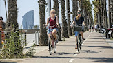 Negocio Ben Bike Bicitram