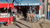 Bicicletas Vega
