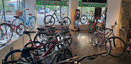 Negocio Biciclo