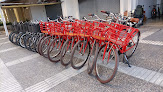 Negocio Bike Rent Salou