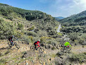 Negocio Bikes At Forest. Rutas Y Alquiler De Bicicletas