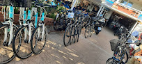 Charlys Bikes Palma