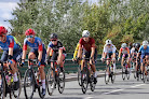 Negocio Currobikes Cycling