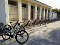 Negocio En Bici Por Gredos