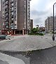 Negocio Gijón-bici Puerto De Somiedo