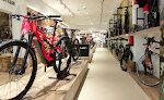 Hogar Ciclos Bicicletas, Tienda De Bicis En Logroño