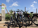 Like Ebike Mallorca Vermietung & Touren J. & J. Deppisch