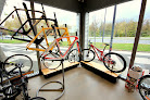 Mammoth Bikes Vitoria