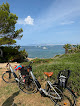 Negocio Moma Rent A Car Bikes Tickets Tours Excursions Boats Jetski Quads Catamaran