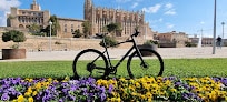 Negocio Nano Bicycles 2 - Bike Rental Palma