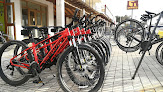 Negocio Paco's Rent A Bike