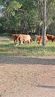 Parque Natural El Soto