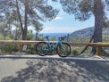 Negocio Spring Cycling Mallorca
