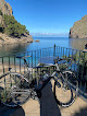 Negocio Ultimate Bike Hire