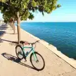 palma